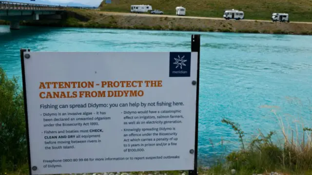 Em vários rios, há campanhas para pessoas evitarem que didymo se espalhe