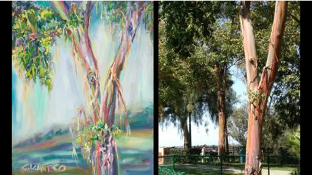 Pinturas de Concetta Antico mostram como ela vê as cores diferente dos demais