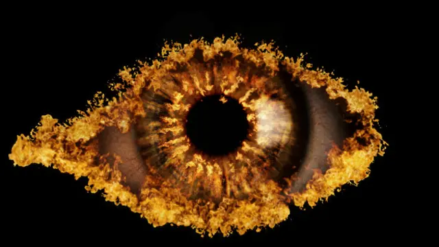 بگ برادر کے طرز کا ہی ایک پروگرام بگ باس بھارت میں بھی جاری ہے