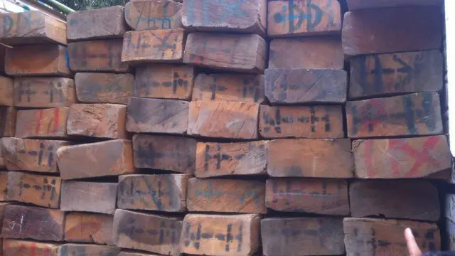 په دې وروستیو کې په کونړ کې د چار تراشو قاچاق په یو کار وبار اوښتی