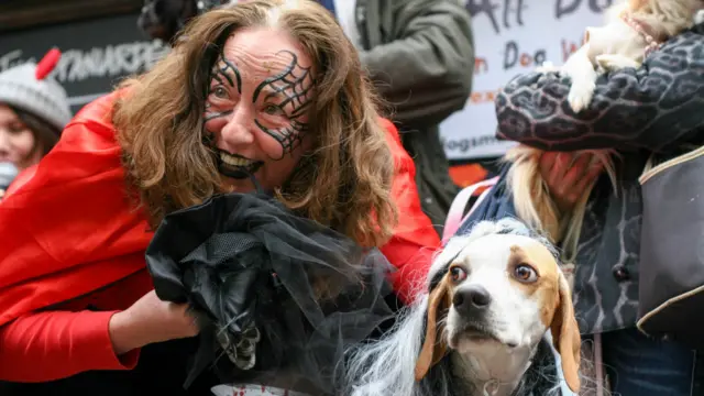 Bazı köpek sahipleri Cadılar Bayramı'na uygun kostümler giyerek, köpeklerine eşlik etti.