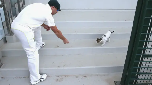 ڈیوڈ وارنر میچ میں وقفے کے دوران ابوظہبی سٹیڈیم میں رہنے والی بلیوں سے کھیلتے دکھائی دیے۔