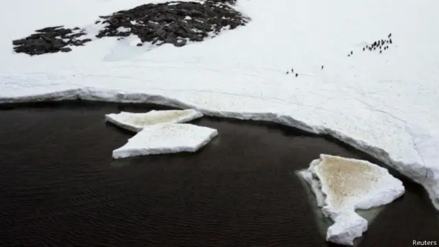 霍巴特会议未能就在南极洲东部地区建立海洋保护区的计划达成一致