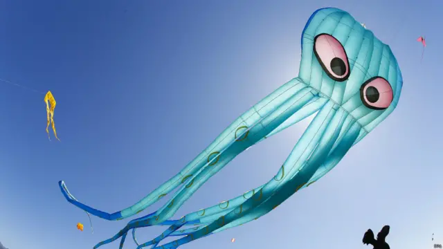 ड्रैगन पतंग, केप टाउन, अन्तर्राष्ट्रीय पतंगबाज़ी उत्सव