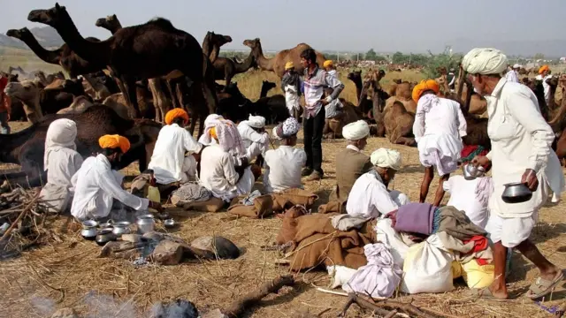 pushkar camel fair, पुष्कर ऊँट मेला