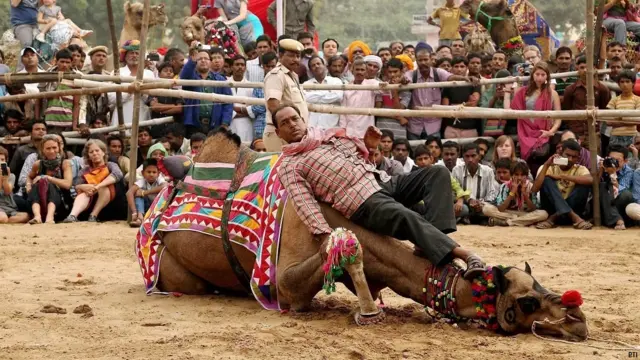 pushkar camel fair, पुष्कर ऊँट मेला