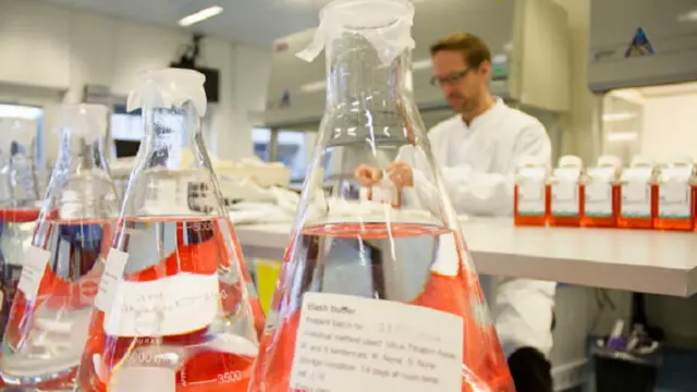 كان عدد المصابين بفيروس إيبولا يتضاعف كل 3-4 أسابيع في المرحلة الأولى من انتشاره.