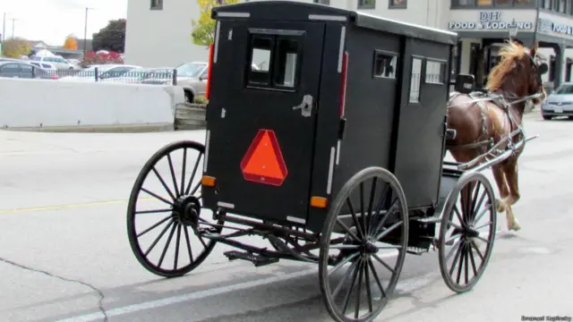 "В канадской провинции Онтарио можно встретить кибитку Амишей, довольно быстро несущуяся по дороге", - пишет автор Имануэль Каплински.