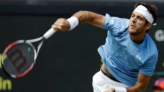 Juan Martin del Potro (foto: AP)