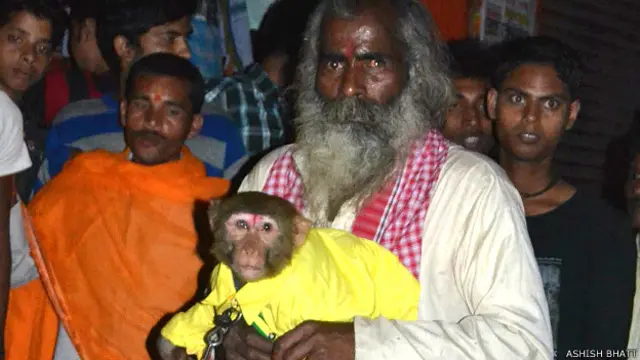 बंदर बंदरिया की शादी