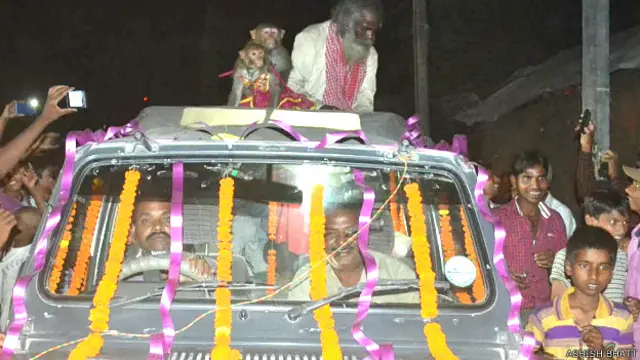 बंदर-बंदरिया की शादी