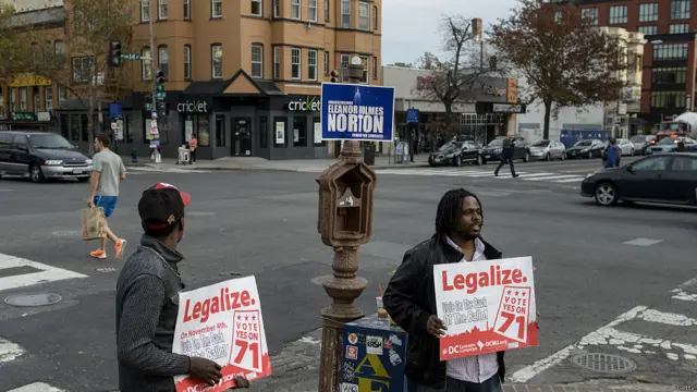 در شهر واشنگتن دی سی، کسی برای کنگره رای نداد اما انتخاب شهردار، شورای شهر و شاید از همه جالبتر، کشت و مصرف شخصی ماریجوآنا تنور انتخابات را داغ کرده بود