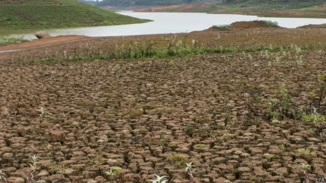 Brasil confirmó recientemente que la deforestación de la Amazonia aumentó 29% entre agosto de 2012 y julio 2013.