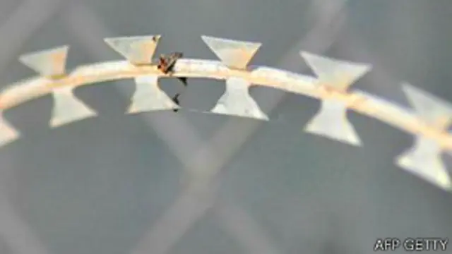 Detalle de la concertina o alambre con cuchillas en Ceuta