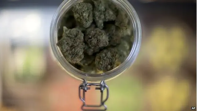 طرح قانونی شدن ماریجوانا در واشنگتن دیسی و اورگان رأی آورد
