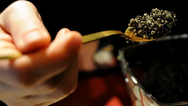 كیويار سٹرجين نامی خاص قسم کی مچھلیوں کے انڈے ہوتے ہیں اور عموماً ان کی قیمت چھ سے دس ہزار ڈالر فی کلو تک ہوتی ہے