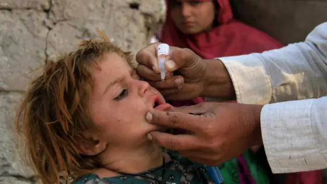 پاکستان سے اس سال اب تک 260 سے زیادہ پولیو کے مریض سامنے آچکے ہیں جن میں سب سے زیادہ پاکستان کے قبائلی علاقوں اور پھر دوسرے نمبر پر خیبر ختونخوا سے ہیں