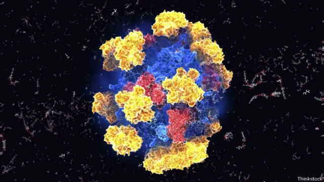 آنزیم ها معمولا پروتئین‌هایی هستند که در واکنش‌های شیمیایی و زیستی نقش کاتالیزور را دارند