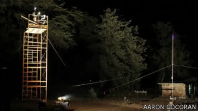 चमगादड़ की जैमिंग ध्वनि पर शोध