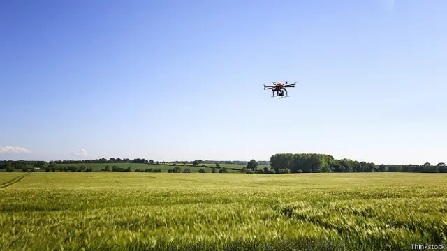 Дрон летит над полем