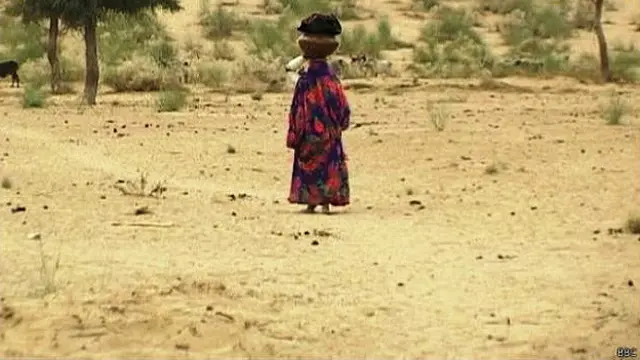 تھر کے ڈپٹی کمشنر نے تصدیق کی ہے کہ سات بچوں کی ہلاکت غذا کی کمی کے باعث ہوئی ہے