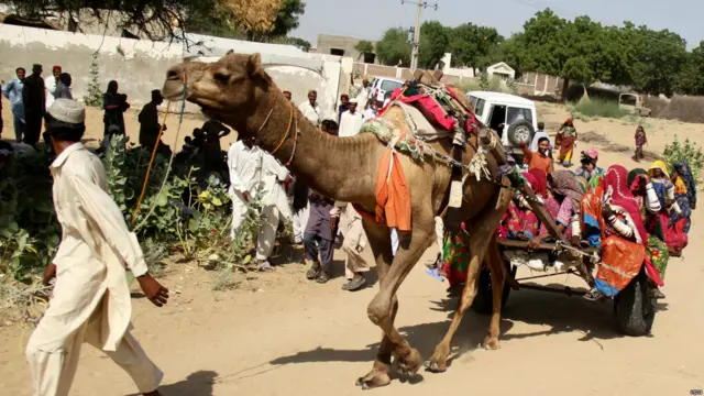 حکومت سندھ کا موقف رہا ہے کہ قحط سے بچوں کی ہلاکتیں نہیں ہو رہی بلکہ بچے بیماریوں کی وجہ سے ہلاک ہوئے ہیں۔