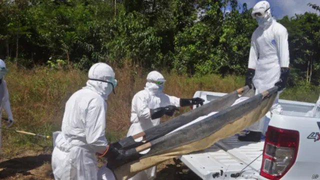 Ebola tidak menular melalui udara, namun melalui cairan tubuh seperti darah dan muntah. 