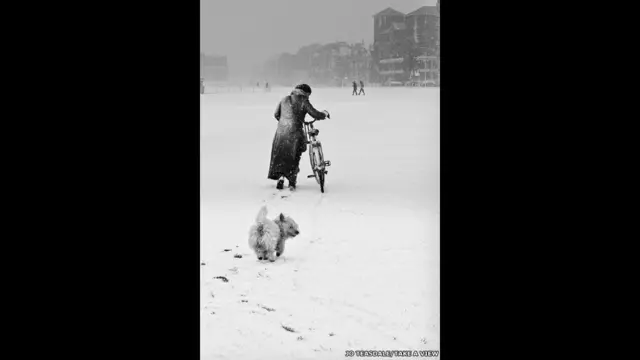 Fred 'n' Sue - Brighton, İngiltərə. Müəllif - Jo Teasdale