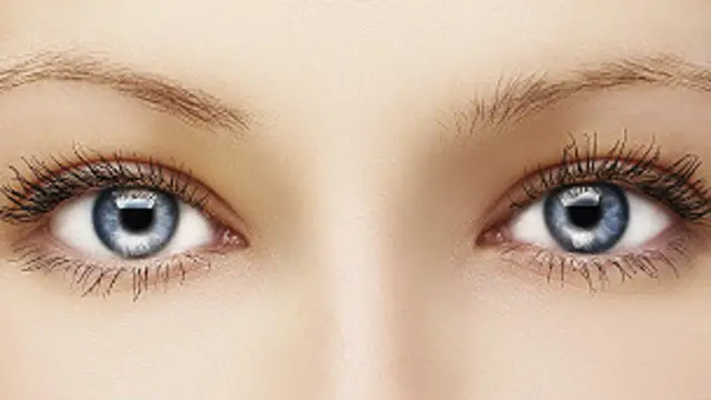 फ़ाइल फोटो