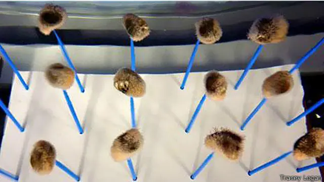 В лаборатории REMEDI