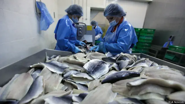 Переработка рыбы