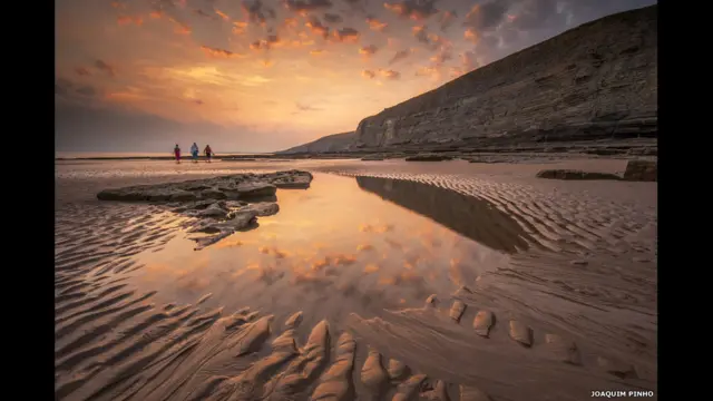 د "ځنګلي ژوند" د دوبي فصل عکاسۍ په سیالۍ کې د لمر پرېوتو دغه انځور د څه باندې ۶۰۰۰ عکسونو له ډلې د لومړي مقام جایزه وګټله. جوکیم پینهو چې دغه عکس یې اخیستی وویل "دا جایزه ګټل د ډېر ویاړ خبره ده". نوموړي زیاته کړه: "دغه جایزه او ستاینه مې هڅوي چې بهر ووځم او لا نور عکسونه واخلم".