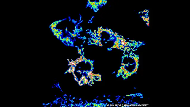Серед інших зображень, що посіли призові місця, - цей знімок доктора Емі Рів з Університету Ньюкасла, на якому бачимо мітохондрію. 