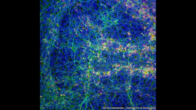 Белок синуклеин, Никола Драммонд