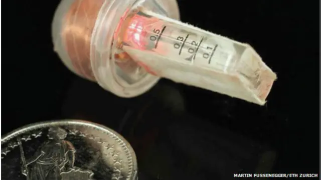 Martin Fussenegger/ETH Zurich