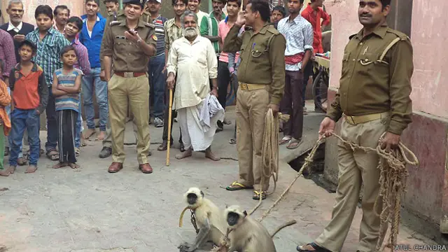 صدر کی آمد سے پہلے ان کے پورے روٹ کو پولیس، این ایس جی کمانڈوز، ایس پی جی اور فوج کے حوالے کر دیا جائے گا