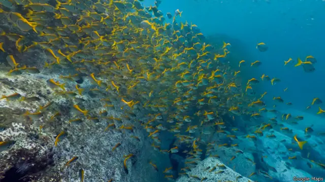 Gran Barrera de Coral