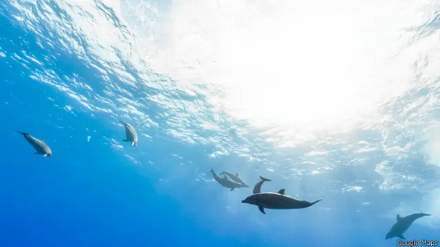 Arrecife de Myrmidon, Gran Barrera de Coral