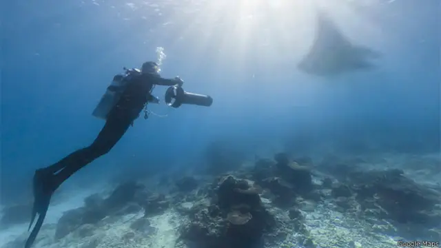 Isla de Lady Elliot, Gran Barrera de Coral