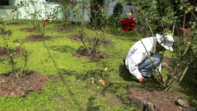 Jardín en el Museo de la Universidad Centroamericana en San Salvador 