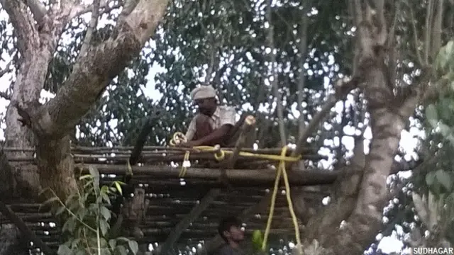 सनमायु के जंगलों से लगे इलाके में किसान हाथियों से बचने की तैयारी की कोशिशों में.