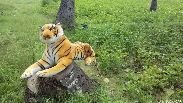 भरा हुआ बाघ