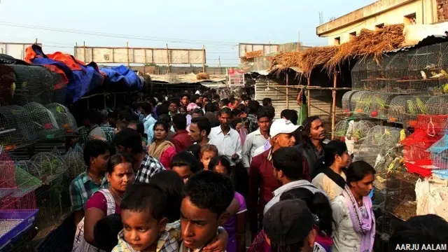 सोनपुर मेला