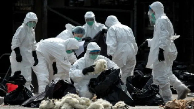 اتخذت السلطات الهولندية إجراءات عدة لمنع انتشار المرض