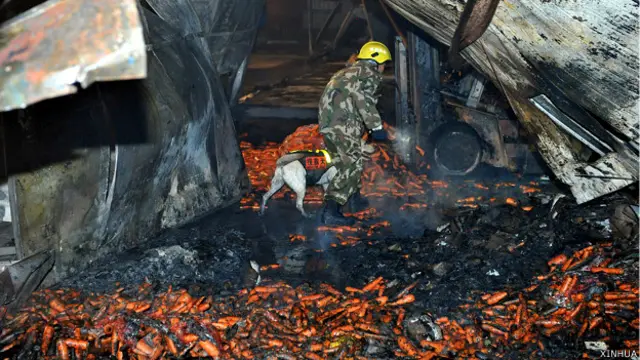 救援人員與搜救犬在山東壽光龍源食品廠火災現場搜救（新華社圖片17/11/2014）