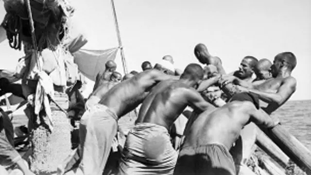 अरब मोती