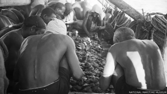 अरब मोती