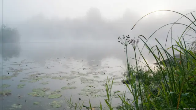 Туман. восход на реке Чумыш на Алтае.