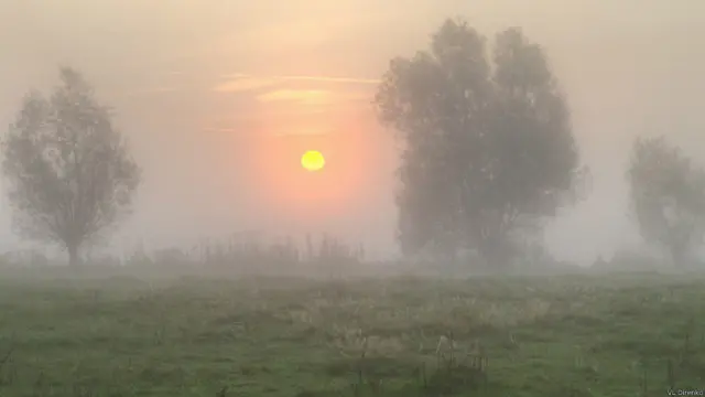 туман в Germany Gross Zastrow