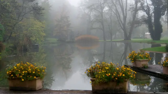 Виктор Вейнблат сделал эту фотографию на курорте Bad Bellingen в Германии.